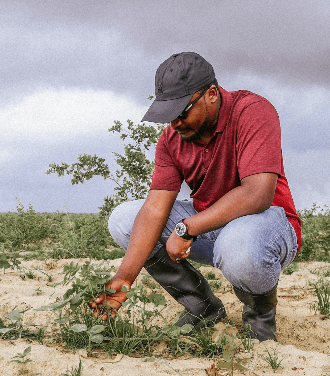 A farmer examining a crop in the field